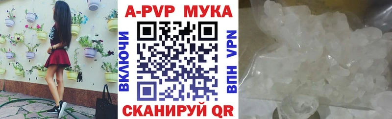 дарнет шоп  Бодайбо  Alfa_PVP СК 