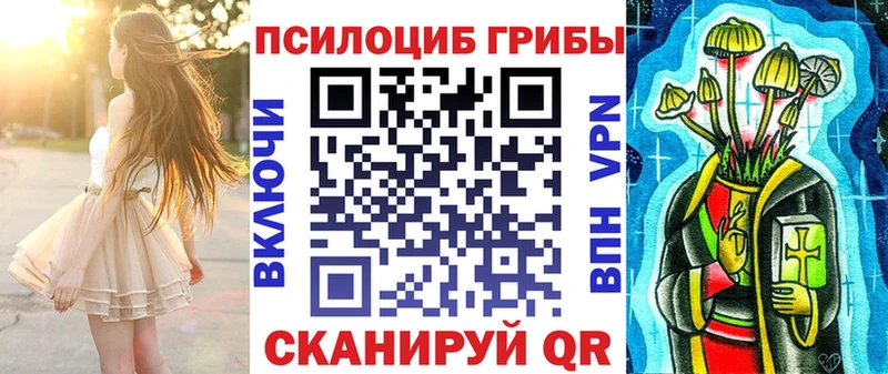 мега как войти  закладка  Бодайбо  Псилоцибиновые грибы Psilocybe 