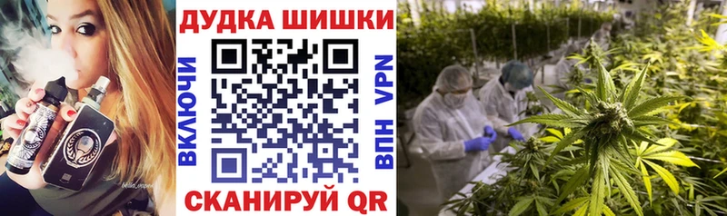 Бошки Шишки SATIVA & INDICA  как найти закладки  Бодайбо 